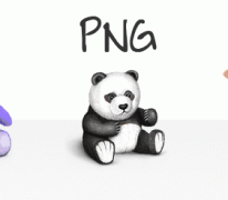 Differences GIF, JPG and PNG Images